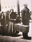 Emigranter anländer till Ellis Island!